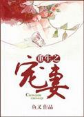 重生宠妻古言