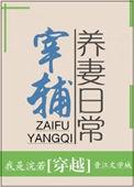 宰辅宠妻日常