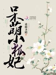 呆萌小王妃电视剧