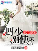 豪门暖婚之四少追妻忙