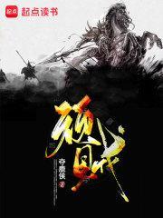 顽贼零点
