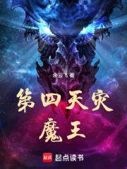 第四天灾类型