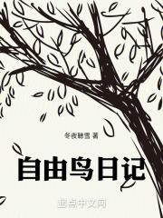 自由鸟小玩具