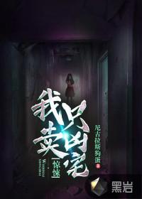 惊悚我只卖凶宅讲的是什么