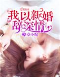 我以新婚辞深情简介
