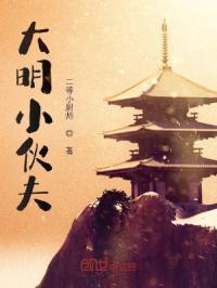 小伙穿越大明