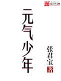 元气少年第二部书名