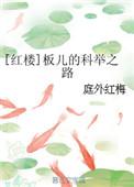 红楼梦板儿是谁