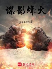谍影烽火TXT