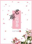 倾城小佳人免费阅读全文