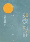 如痴如醉的痴的意思