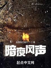 暗夜风影