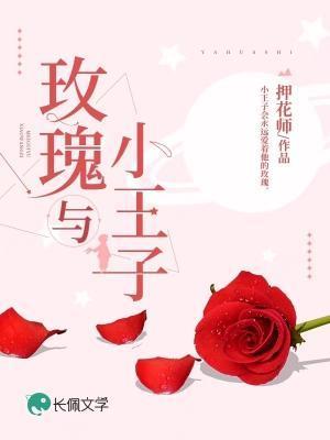 玫瑰与小王子是友谊吗
