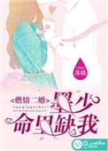 墨少的惹火萌妻