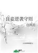 良妾的