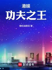 港娱功夫之王 目录 (共784章)