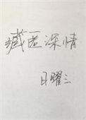 藏匿深情日曜三txt