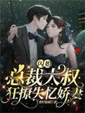 闪婚大叔用力宠免费