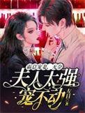 霸总夫人又闹离婚了
