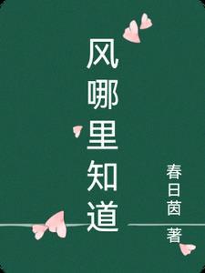 风在哪里你看