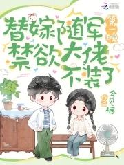 替嫁将军车