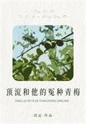 顶流和他的冤种青梅原著免