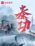 秦功笔趣阁无弹窗