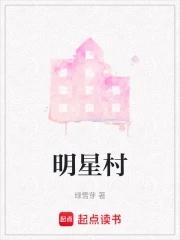 明星村什么意思