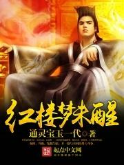 红楼梦未醒gl