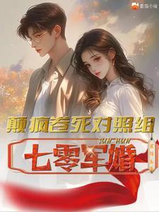 七零军婚年代文