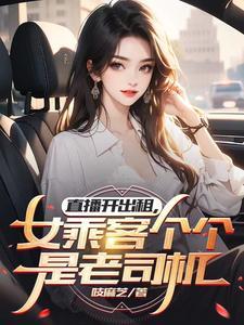 女乘客个个是老司机TXT