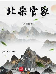 北宋官家笔趣阁无错版
