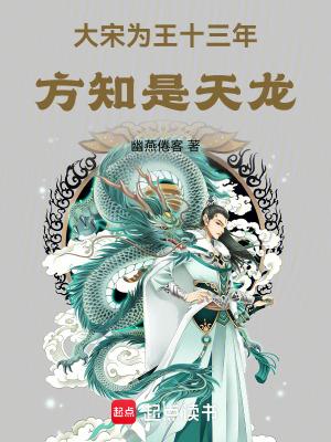 大宋为王十三年方知是天龙幽燕倦客