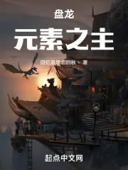 盘龙之成就