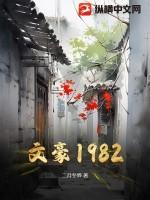 文豪1978八零电子书