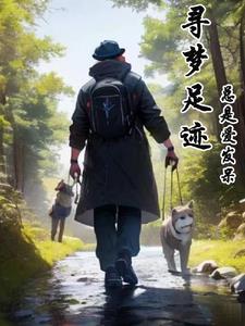 寻梦作文800字_高中议论文