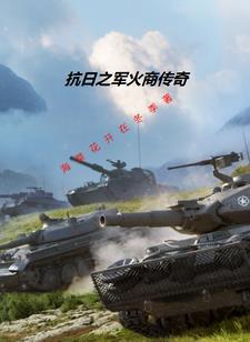 我在抗日卖军火免费观看
