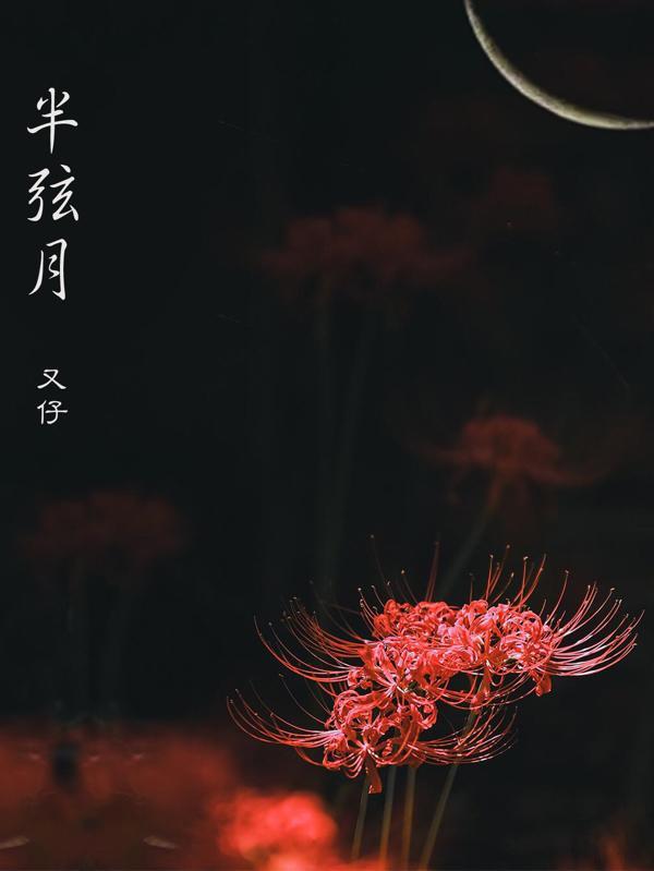 半弦月品牌好不好