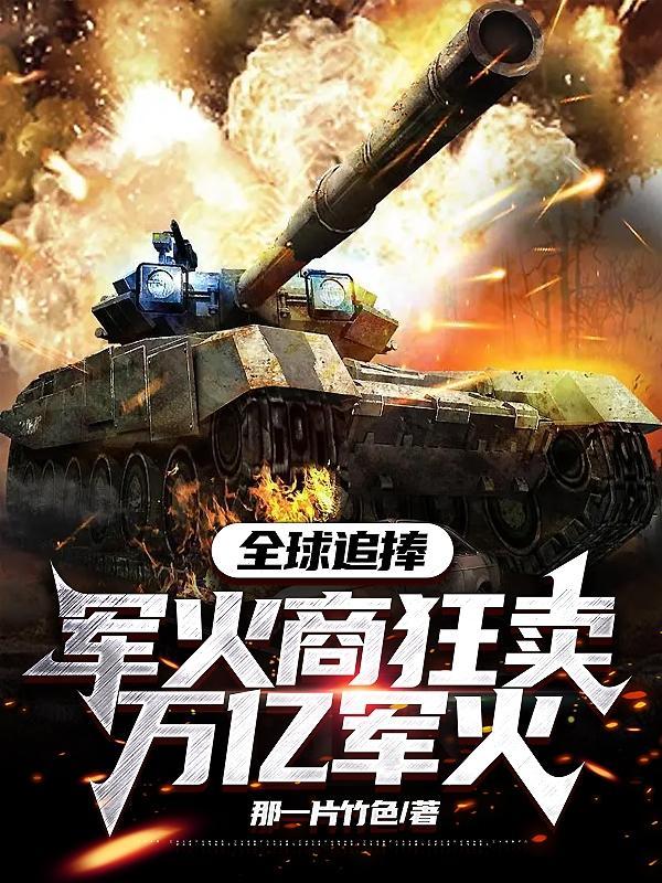 全球军火销售百强
