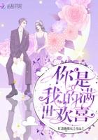 你是我的满天星辰免费阅读