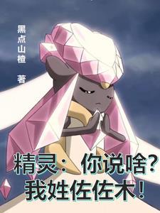 精灵你说啥?我姓佐佐木