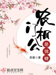 农门相公追妻