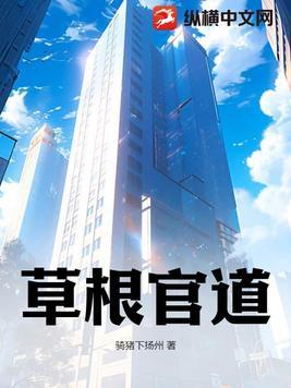草根的巅峰人生