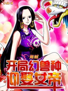 从海贼开始