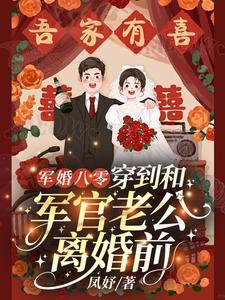 军婚七年后与他相遇