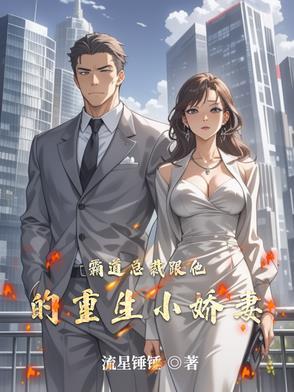 霸道总裁的小娇妻电视