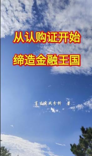 认购新政