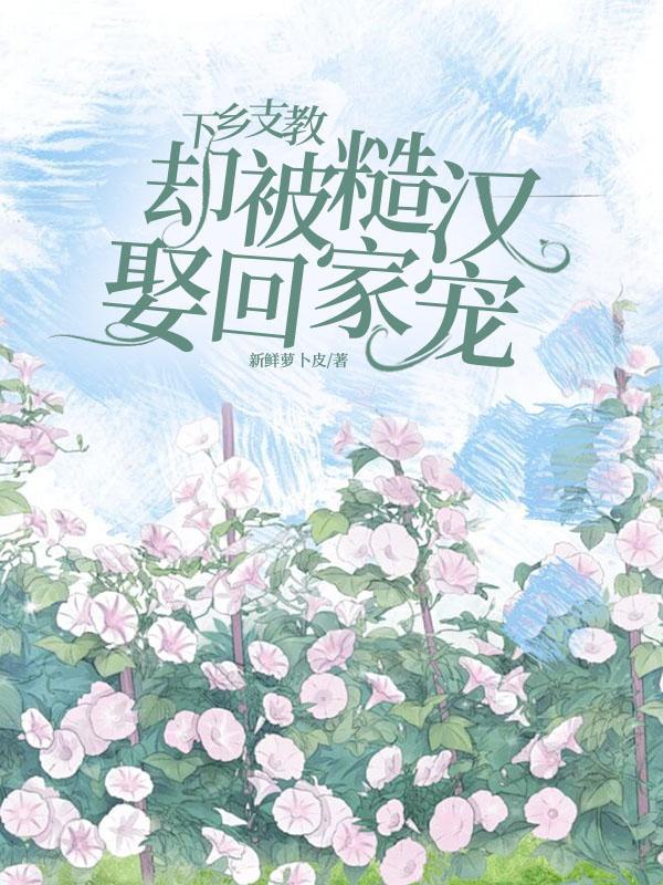 主角是老师下乡支教