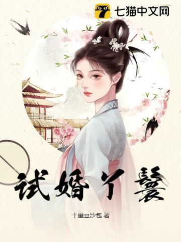 试婚丫鬟 锦鸢