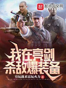 亮剑之杀敌爆装系统笔趣阁